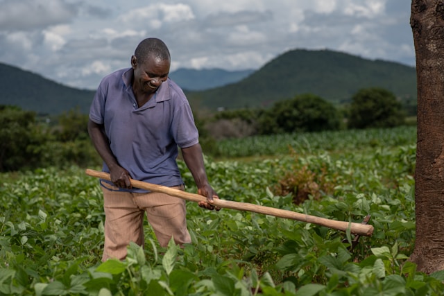 African farmers working