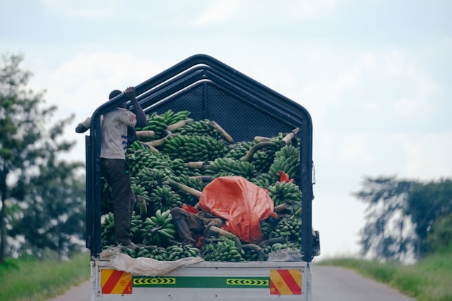Logistics and delivery